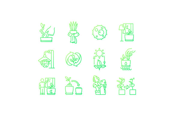 Enhance Your Designs with Caring for Houseplants Icons